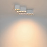 Накладной светильник ODEON LIGHT SMALL 7091/21CL