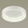Потолочный светодиодный светильник ODEON LIGHT SOLE 4066/40CL