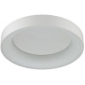 Потолочный светодиодный светильник ODEON LIGHT SOLE 4066/40CL