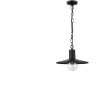 Уличный подвесной светильник ODEON LIGHT NATURE FURCADIA 4833/1